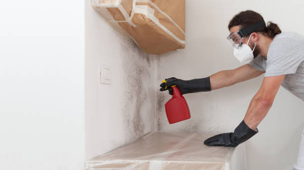 Professional Bathroom Mold Removal technician working in Highlands, NC